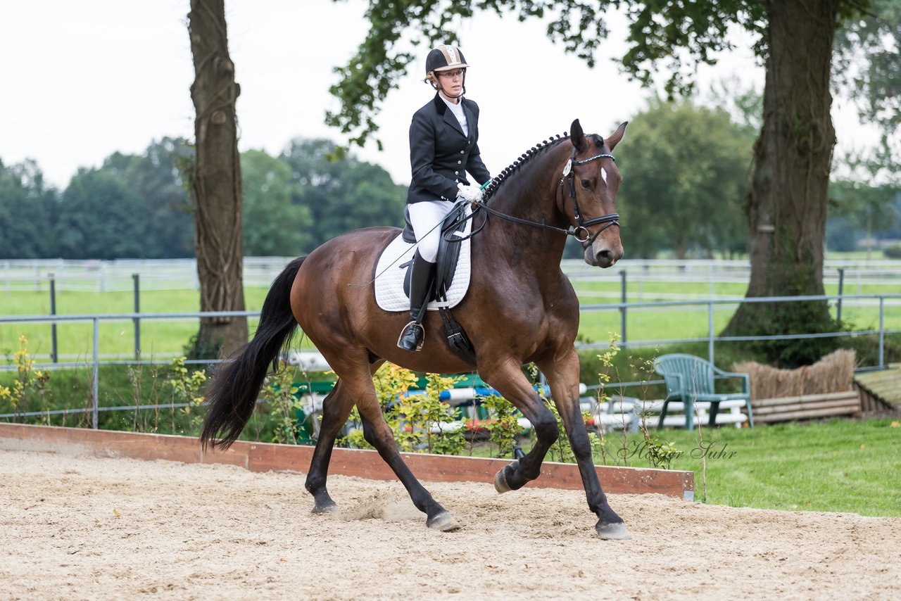 Bild 661 - Fuchshof Turnier